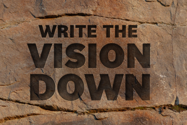 Write the Vision Down